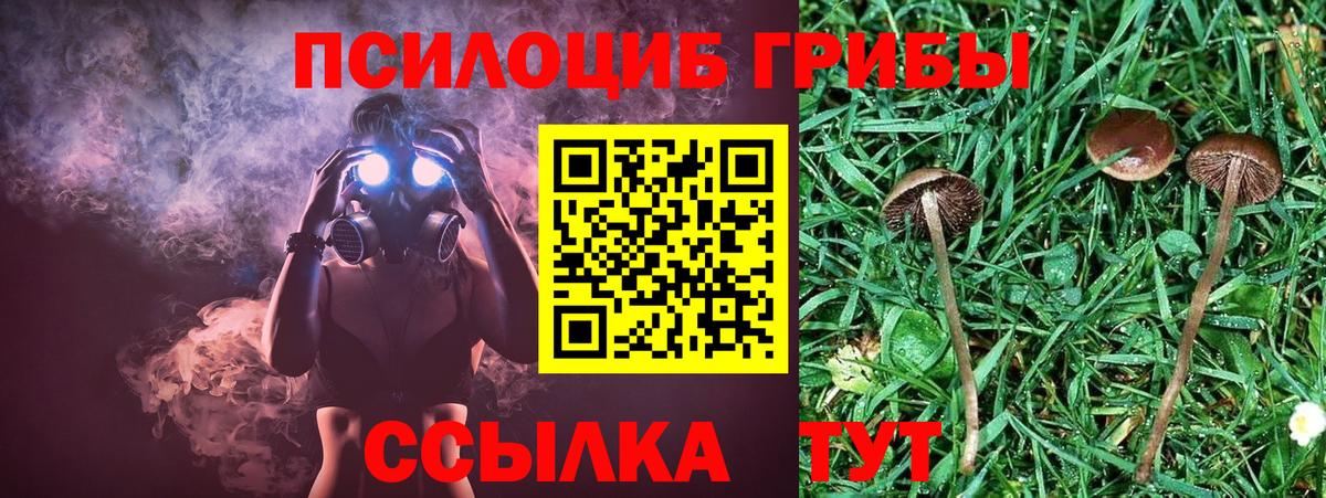 Троицк  Псилоцибиновые грибы ЛСД  Вход с VPN 