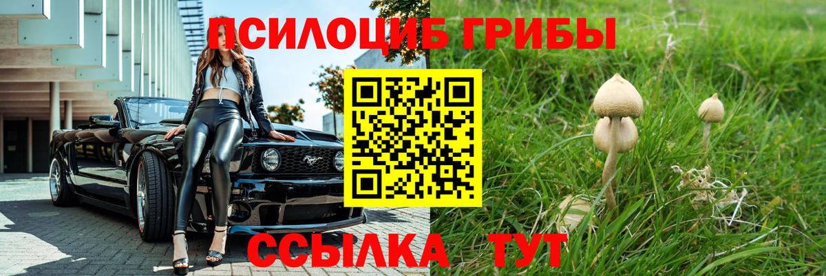 Псилоцибиновые грибы мицелий Троицк